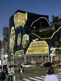 Exploring Tokyo’s busiest, most iconic districts means you’re in for a total sensory overload! 