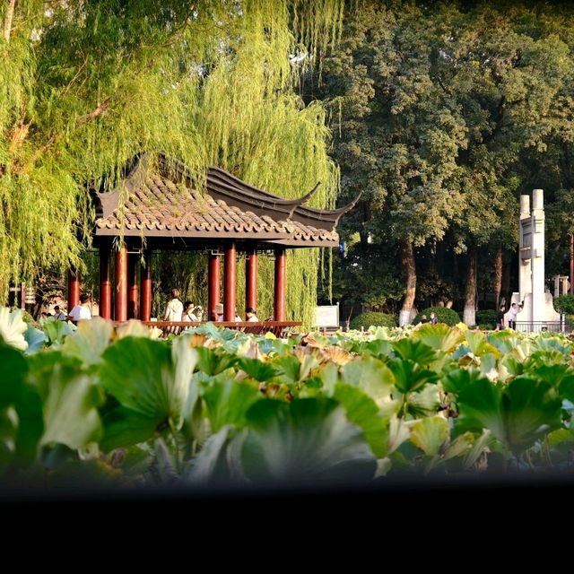 Lord Bao Park, East Part, Hefei / 2025