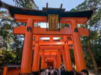 Kyoto’s Gate Magic✨