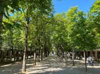 Timeless Elegance — Discover the Sophisticated Charm of Baden-Baden, Germany 🇩🇪