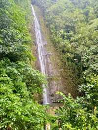 Mānoa Falls: Pure Rainforest Magic Just Minutes from Waikiki! 💙🌿