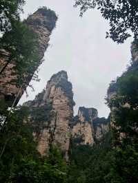 Как Увидеть парк Аватар без толп!