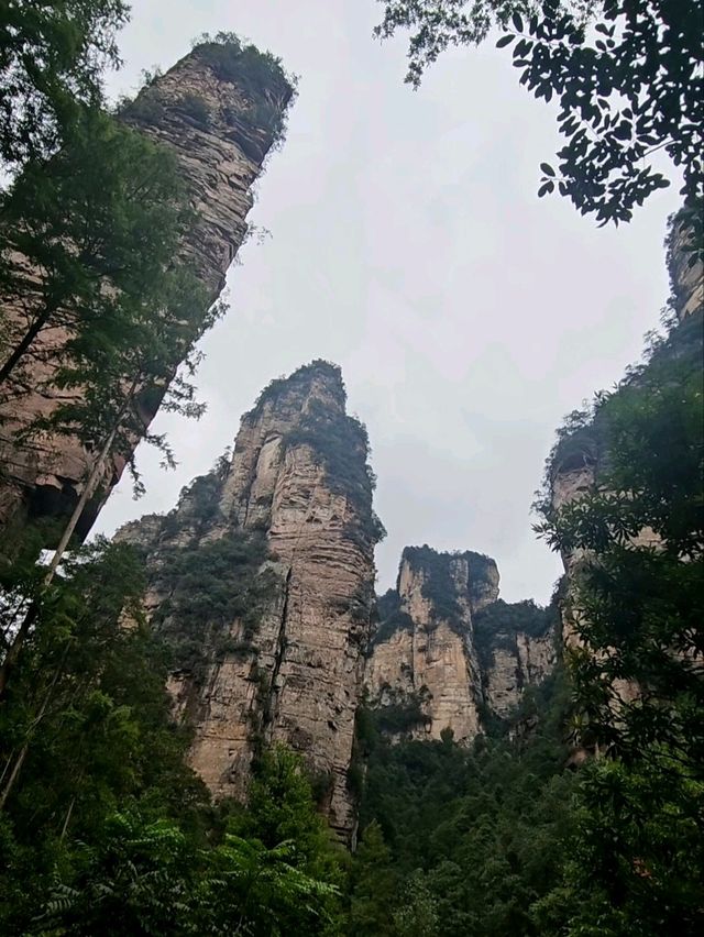 Как Увидеть парк Аватар без толп!