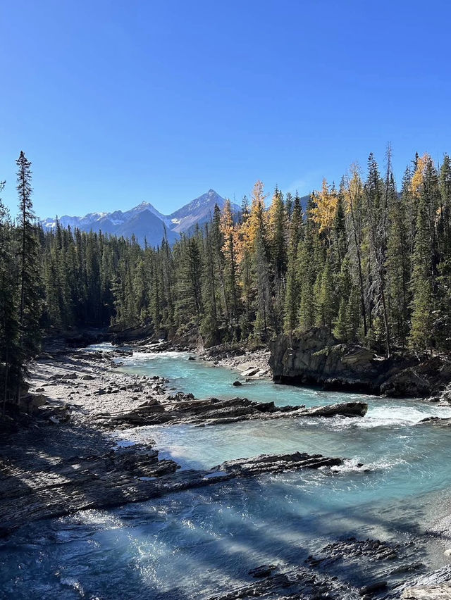 🍁 Yoho’s Autumn Waterfalls 💦 🍁 Yoho’s Autumn Waterfalls 💦