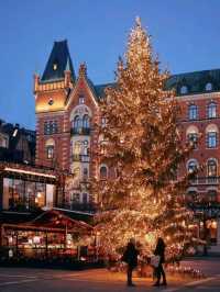 Cozy Christmas Magic🎄