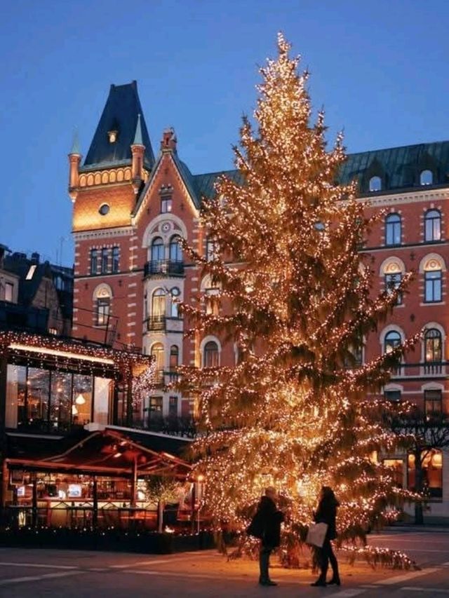 Cozy Christmas Magic🎄