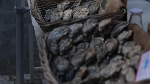렌(Rennes) 아침 시장 산책, 그리고 브르타뉴 바다의 신선한 굴 맛보기 — traveler post in 렌
