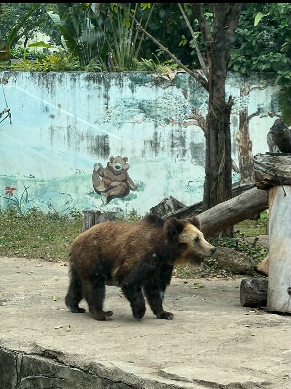 Guangzhou-zoo