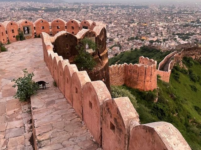 Breathtaking Views On Top of Jaipur 🇮🇳