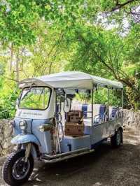 Okinawa Ritz-Carlton | Alpha private car transfer, surrounded by forests and beaches.