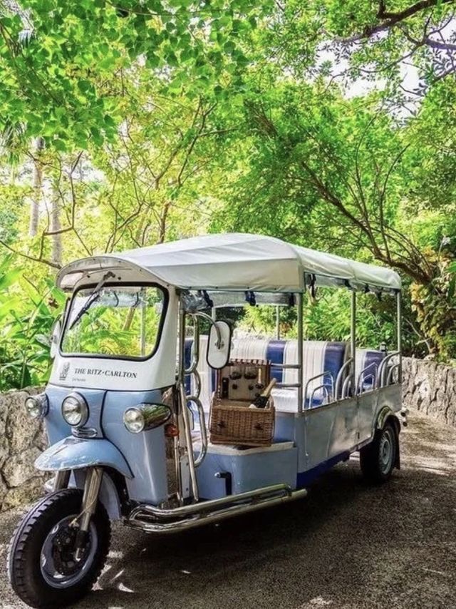 Okinawa Ritz-Carlton | Alpha private car transfer, surrounded by forests and beaches.