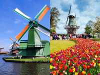 In April, go to the Netherlands and search for the tulips in your dreams.