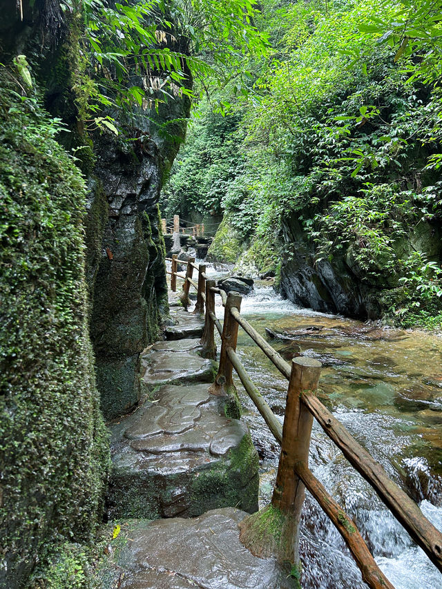 神秘哀牢山徒步石門峽保姆級超全攻略