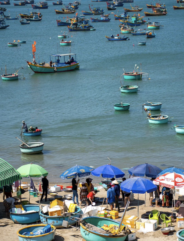 Just next to Ho Chi Minh City, there are sand dunes and also oceans