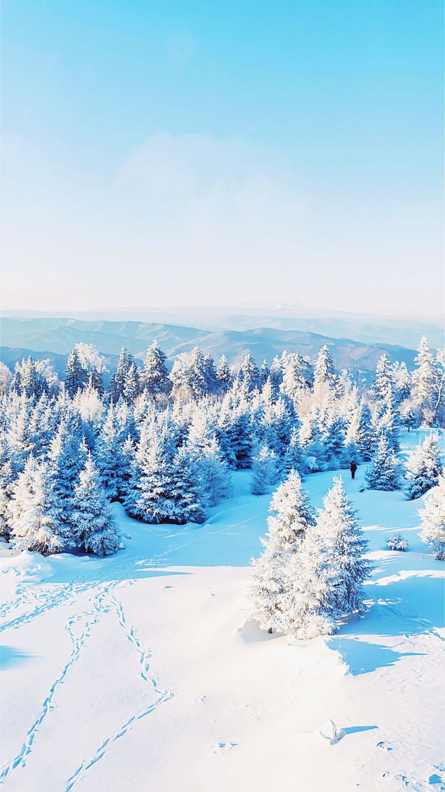 冬日必去天然寶藏長白山
