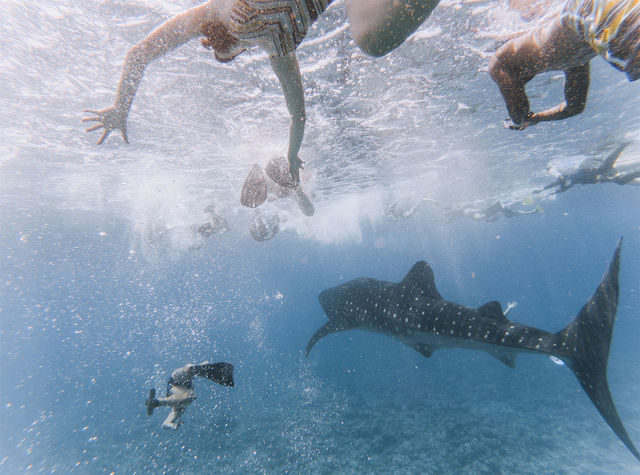 🐠 "Phuket Diving: Unveiling the Wonders of the Underwater World!" 🤿