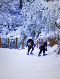成都周邊｜比北海道還美的夢幻雪國森林|||