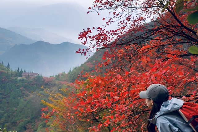 我的故鄉 巫山