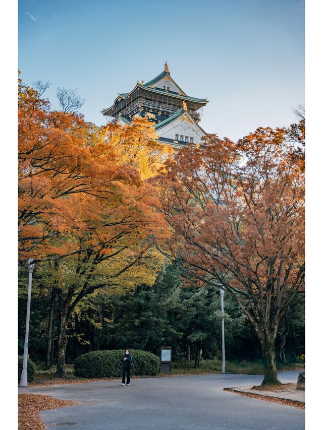 日本關西最具人氣景點，同樣也是賞秋好去處