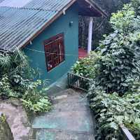 Rainforest cabins in Sri Lanka