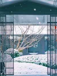 大雪後的淄博冰雪仙境大片！每一幀都是壁紙