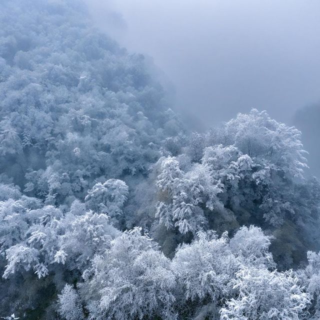 湖南霧凇雪原遊攻略～