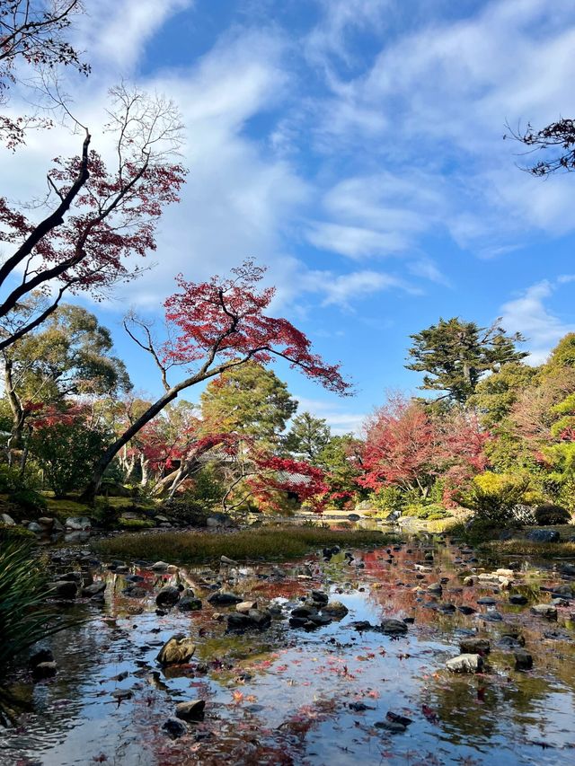 京都|花一點錢享受無人的秋日庭園