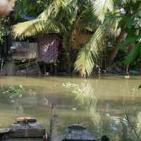 Exploring the Tranquil Mekong Delta