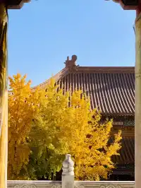 藏在喧囂都市中的皇家寺廟｜雲居寺