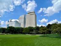 城市公園