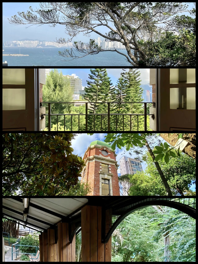姊妹們香港！這才是看海該去的地方