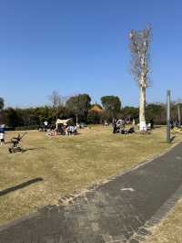 溫冬裡東湖磨山風景區一日遊