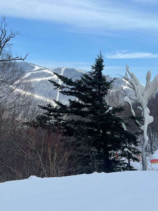 吉林省吉林市北大湖滑雪場 擠爆了