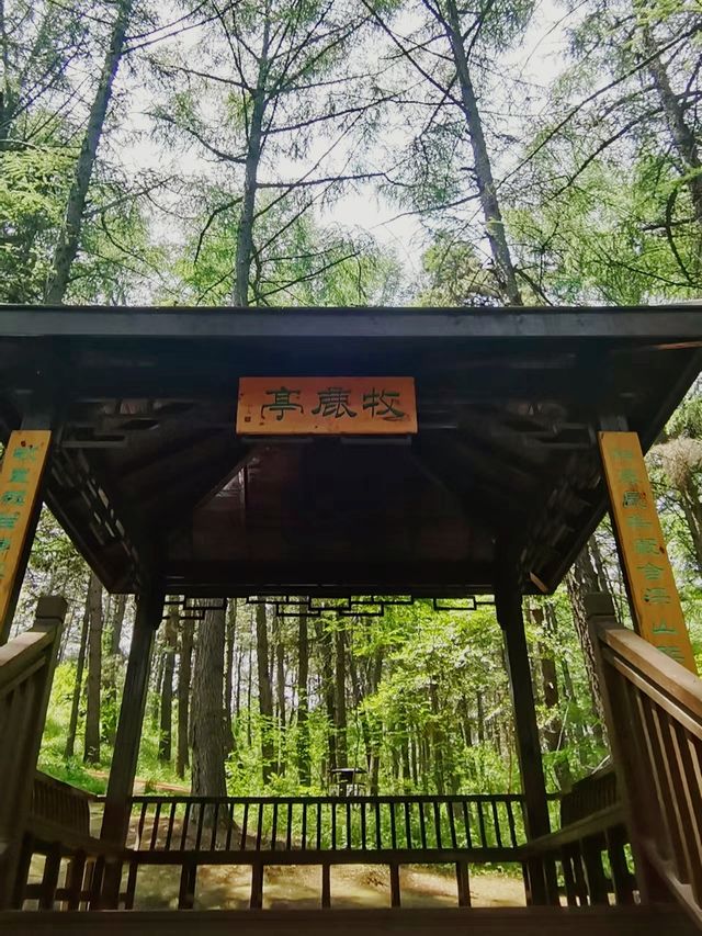 林間漫步，共赴鹿苑之約‖東豐南照山公園
