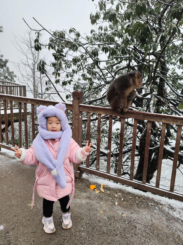 姊妹們！實拍瓦屋山又又又下雪啦