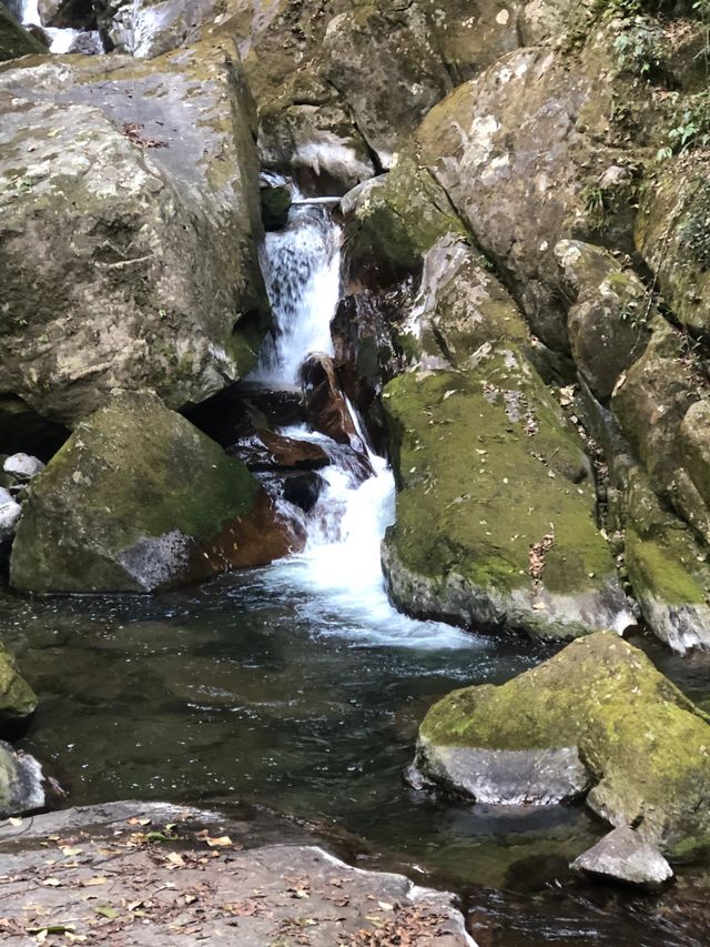 雲南騰衝高黎貢山秘境徒步偶遇絕美溫泉瀑布