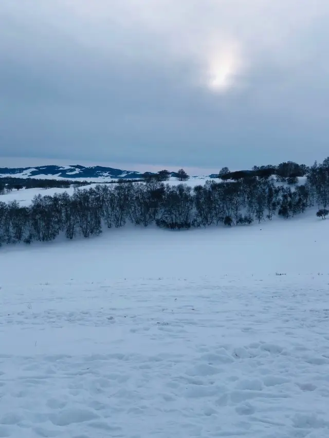 Wonderful times in the snowy world of the north | Ulan Buto Grassland