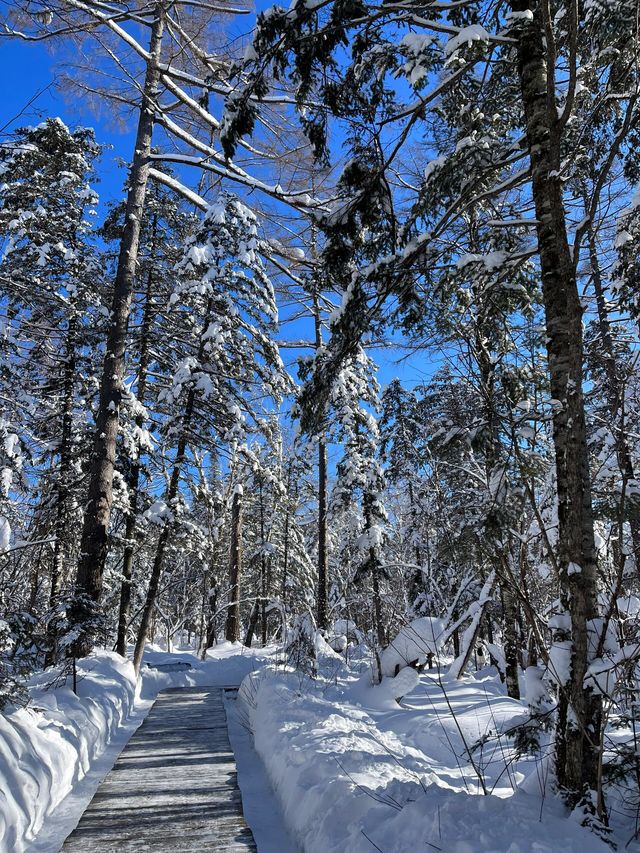 東北旅遊絲滑攻略，全程不踩雷