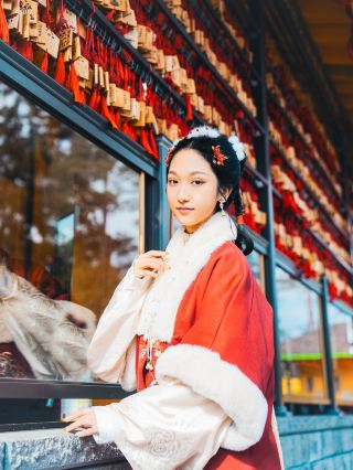 I didn't expect to spend the Spring Festival in Toronto this year