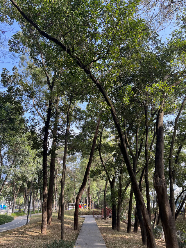 深圳Citywalk：福榮綠道