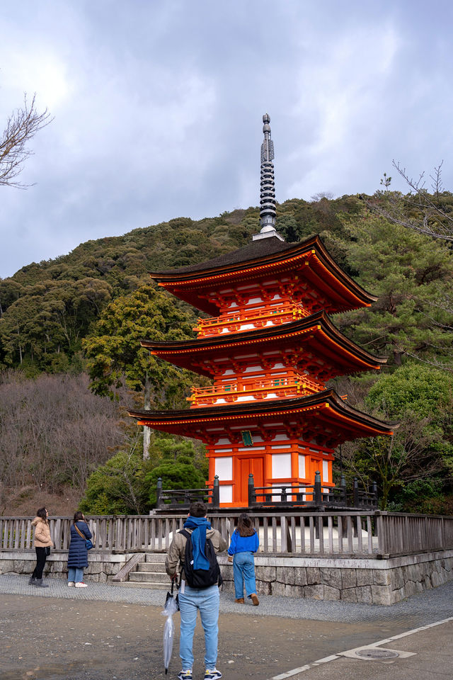 京都旅行必打卡，人氣爆棚的千年古剎