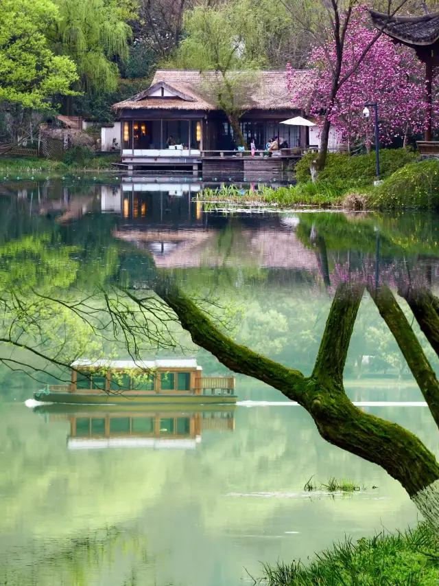 99% of Hangzhou travel guides won't mention these 3 secret springtime havens that you must save