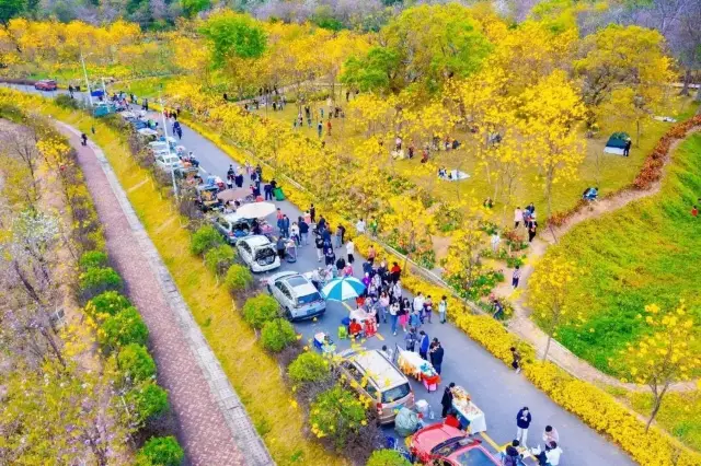 사진 찍기 좋은 십여 개 장소를 추천합니다, 꽃바다를 찬양하라! 내 말 들어, 꼭 가봐야 해