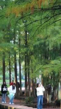 彩雲湖公園 感受綠野仙蹤般的浪漫