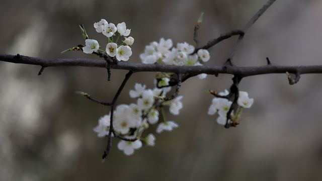 2024年3月15日 成都-金川