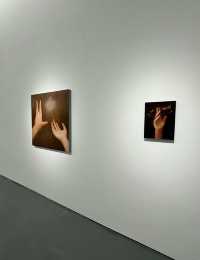 上海免費展|春天的西岸·驚喜連連