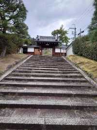 【京都·靈鑑寺·椿】