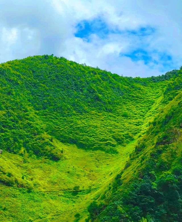 向雲端~馬里冷舊開滿鮮花的草地！！！