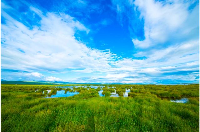 四川花湖生態旅遊區：探尋自然之美湖光山色，自然生態之美
