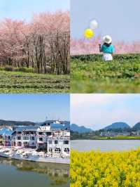 去貴州上春山可以觀賞萬畝櫻花園的好地方
